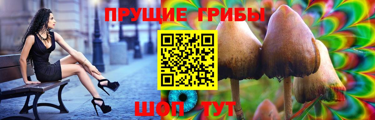 Подольск  Псилоцибиновые грибы мицелий  Псилоцибиновые грибы MAGIC MUSHROOMS  Вход с VPN 